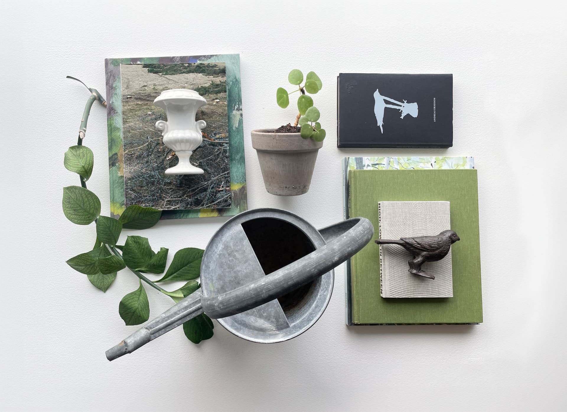 Ett stilleben med saker som anknyter till växtlighet, såsom vattenkanna, växter och botaniska böcker.